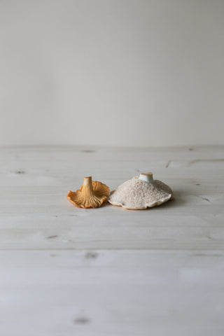 SUPERFOLK GUIDE: Mushroom Foraging