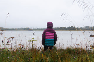 Habitat: Exploring the Fen