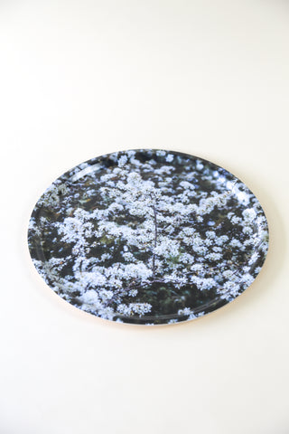 Spring Blackthorn Tray FSC®