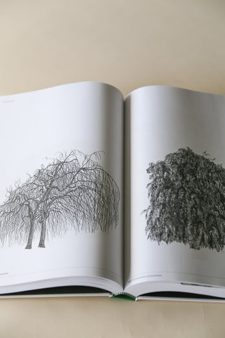 The Architecture of Trees by Cesare Leonardi and Franca Stagi