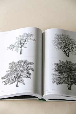 The Architecture of Trees by Cesare Leonardi and Franca Stagi