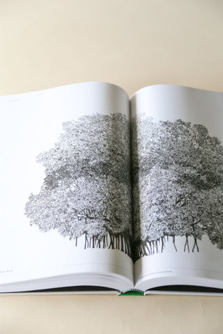 The Architecture of Trees by Cesare Leonardi and Franca Stagi