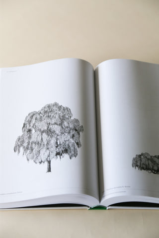 The Architecture of Trees by Cesare Leonardi and Franca Stagi