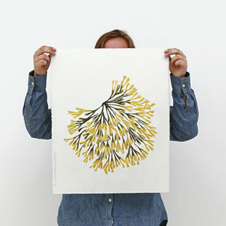 Seaweed Print Bundle (3)