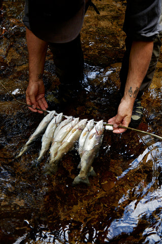 The Fly Fisher - The Essence and Essentials of Fly-Fishing