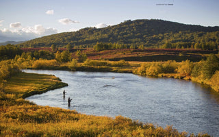 The Fly Fisher - The Essence and Essentials of Fly-Fishing