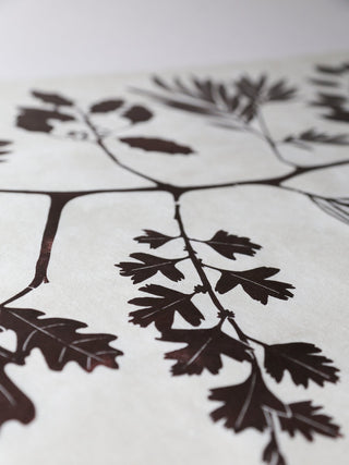 The Tree of Leaves Print in Bog Oak Black