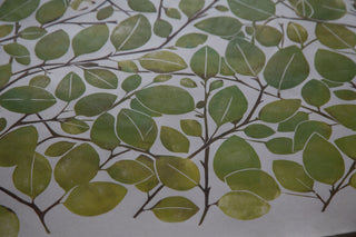 Spring Beech Leaf Print